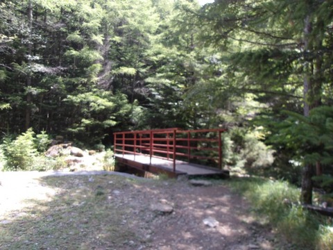 100_0110 (カスタム)