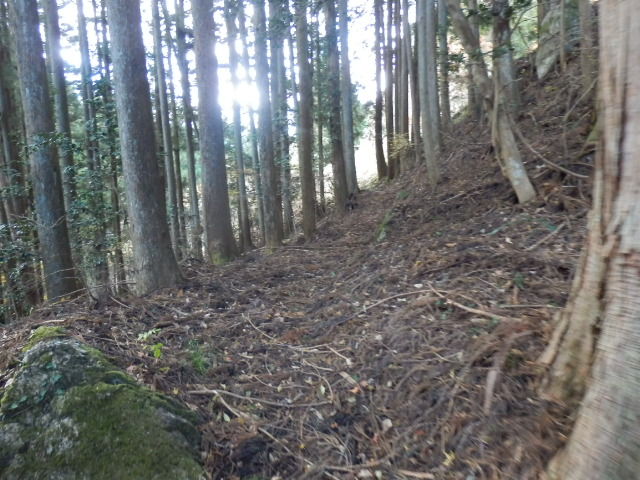 イメージ 18