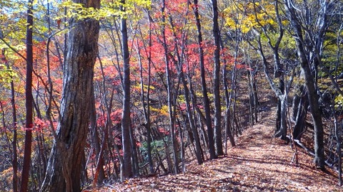 PB090387 (640x360)