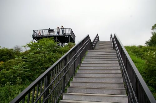 イメージ 7