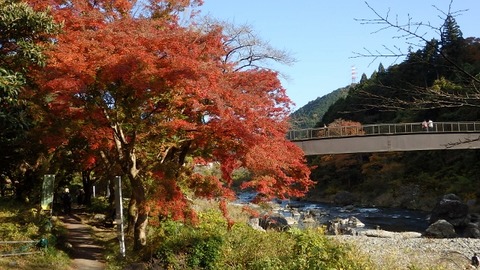 PB080249 (640x360)