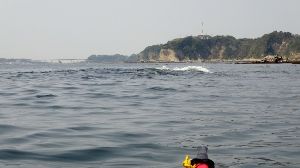 イメージ 13