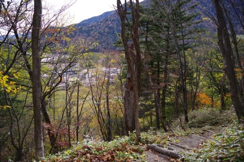 IMGP2662 (カスタム)