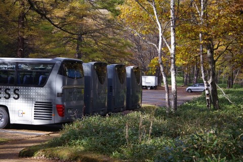 IMGP2677 (カスタム)