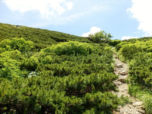 イメージ 32