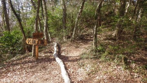 IMGP1068 (640x360)