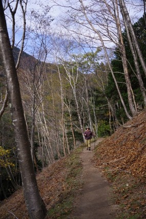 IMGP2656 (カスタム)