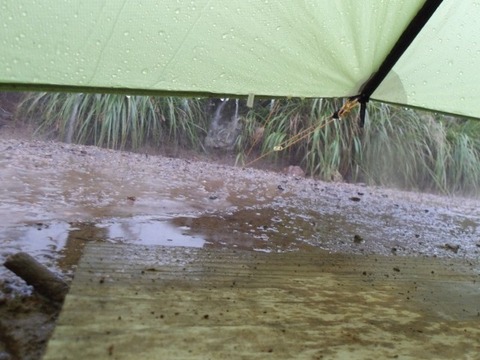 100_0126 (カスタム)