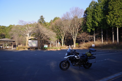 IMGP1741