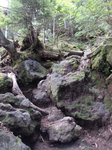 100_0203 (カスタム)