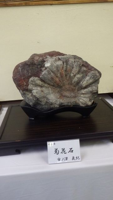 イメージ 12