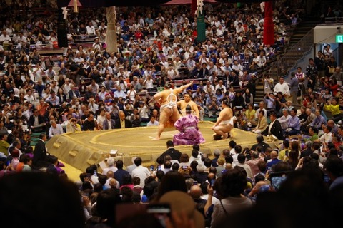 IMGP2372 (カスタム)