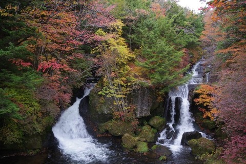 IMGP2690 (カスタム)