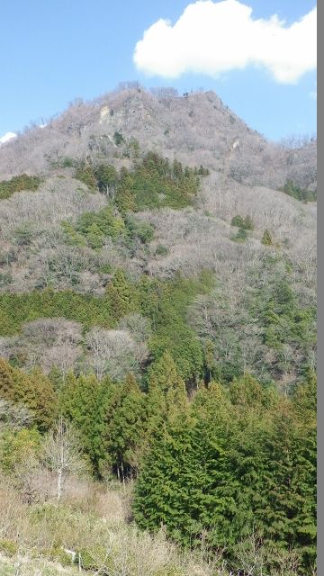 イメージ 34