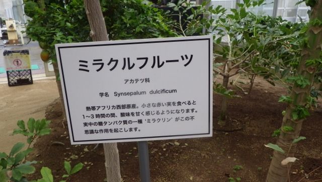 イメージ 18