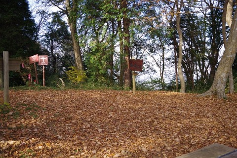 IMGP0195 (640x427)