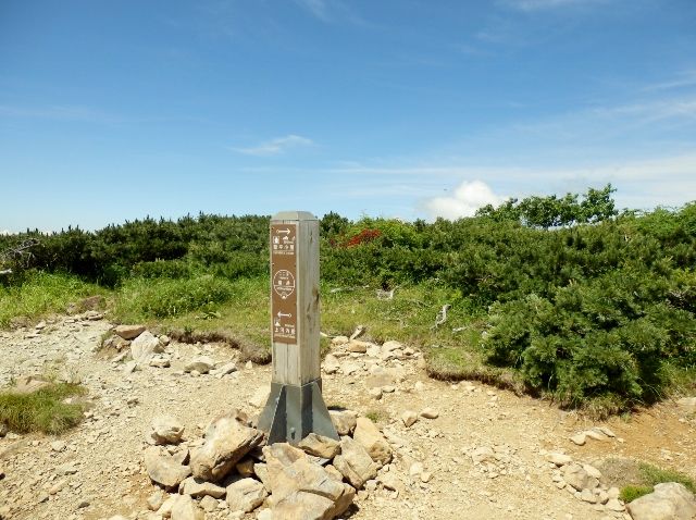 イメージ 33