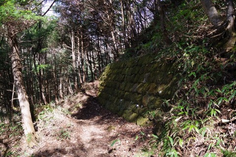 IMGP2603 (カスタム)