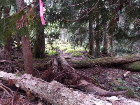 100_0280 (カスタム)