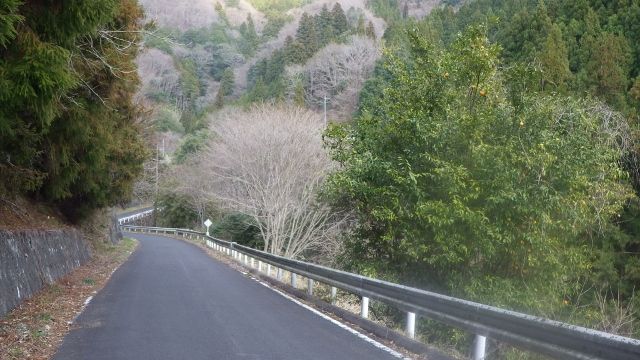 イメージ 37