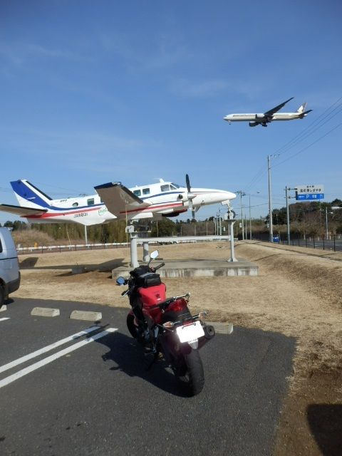 イメージ 3