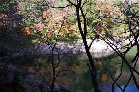 IMGP2624 (カスタム)