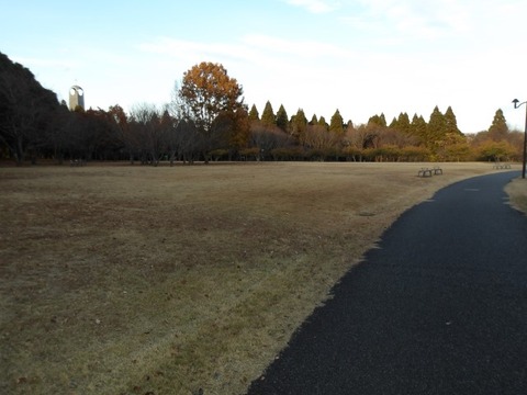 100_0143 (カスタム)