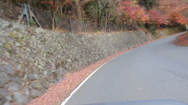 イメージ 36