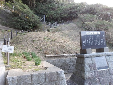 100_0688 (カスタム)