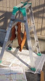 イメージ 8