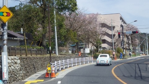 IMGP1113 (640x360)