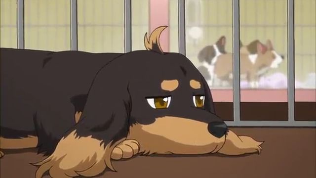 犬とハサミは使いよう 第1話 犬も歩けば棒に当たる 続 真面目に働くアニオタ日記