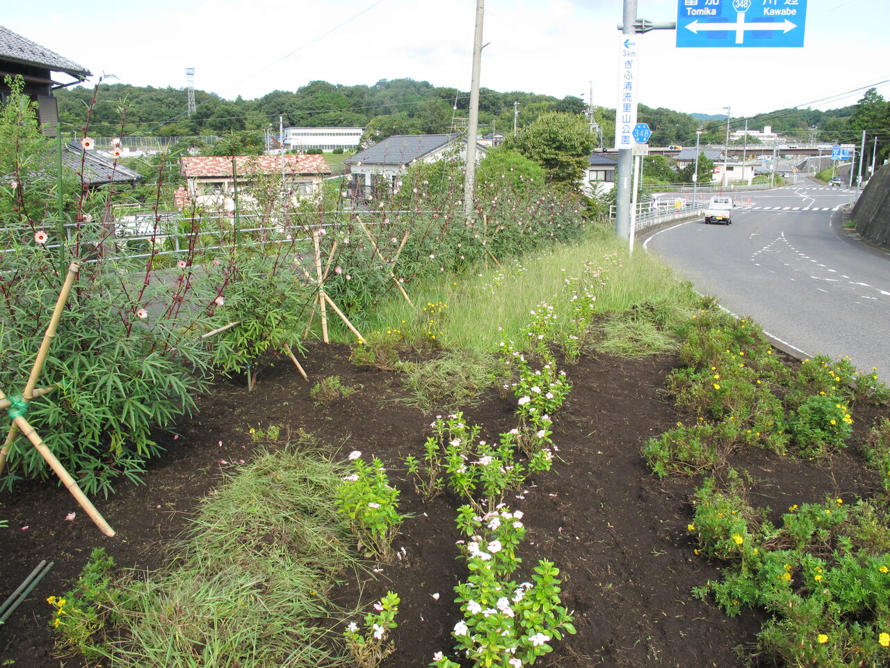 天王花壇の草引き ４回目 山之上まちづくり協議会