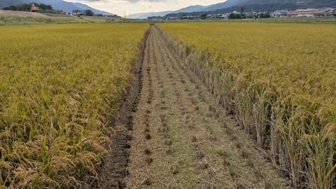 PXL_20251007_064648423