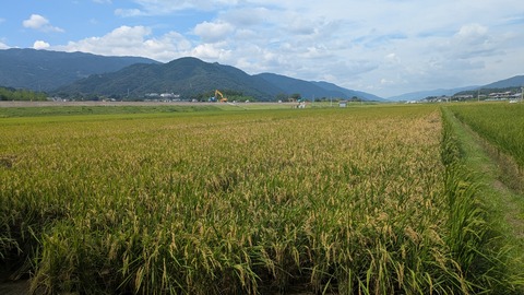 PXL_20250908_012627758