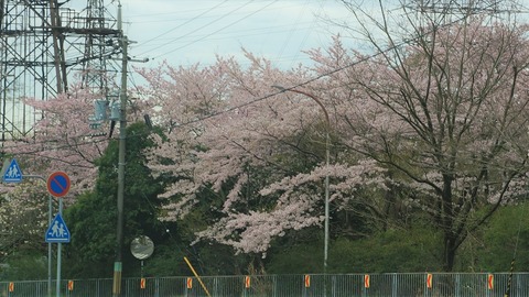 DSC05679