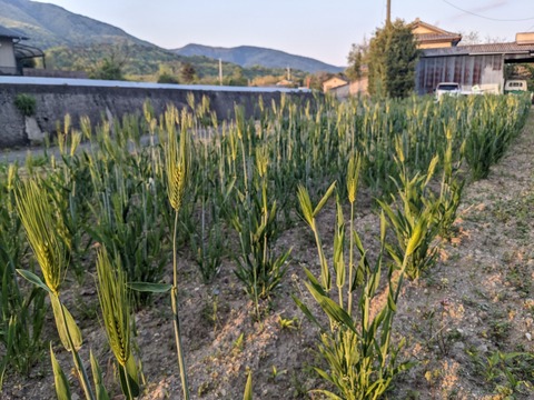 PXL_20230410_085829722