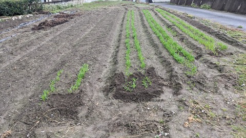 PXL_20231212_054529162