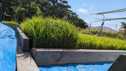 PXL_20250528_002609675