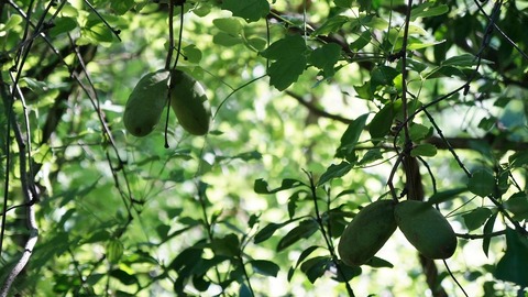 DSC02366