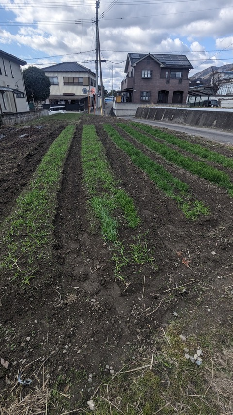 PXL_20240116_041033340