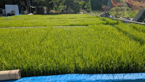 PXL_20250515_001007907