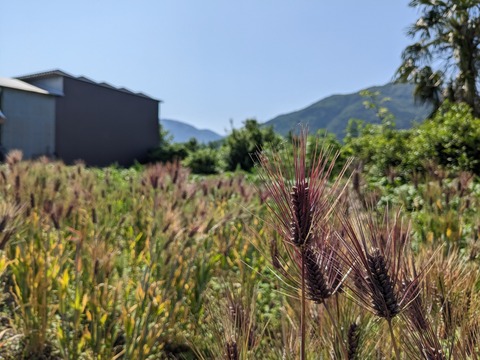 PXL_20230516_003046354