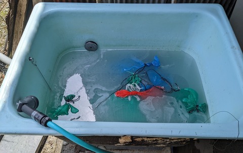 PXL_20220428_020936202.MP