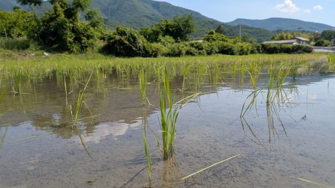 PXL_20250528_002810587