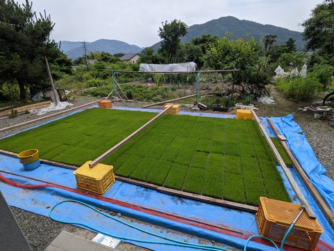 PXL_20210602_025010743