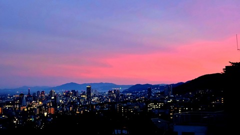 DSC02443 (1)
