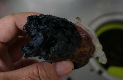 DSC04643