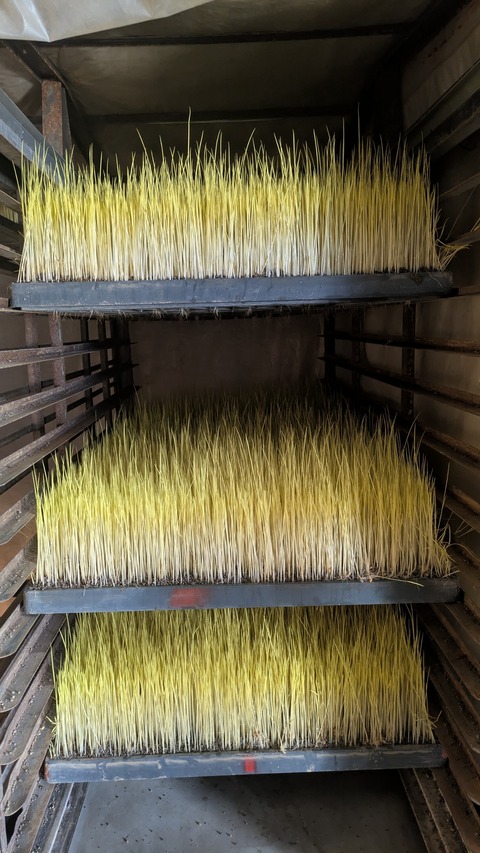 PXL_20250512_032409892