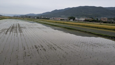 PXL_20250529_085605073